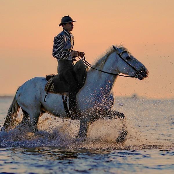 Ride Horses on the Beach