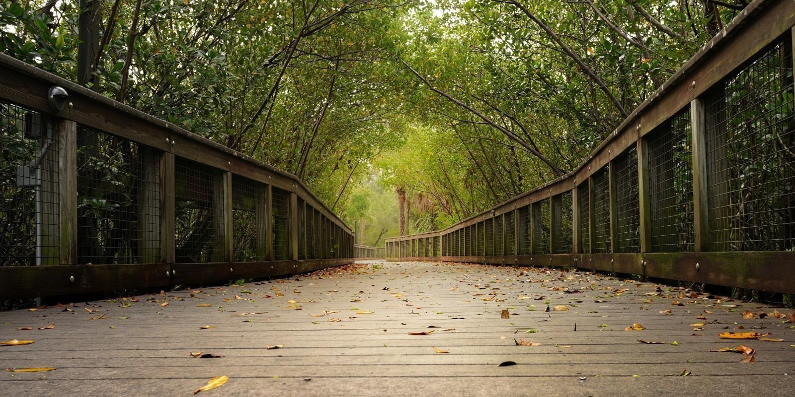 Port St Lucie: Un oasis de entretenimiento y cultura en la costa de Florida