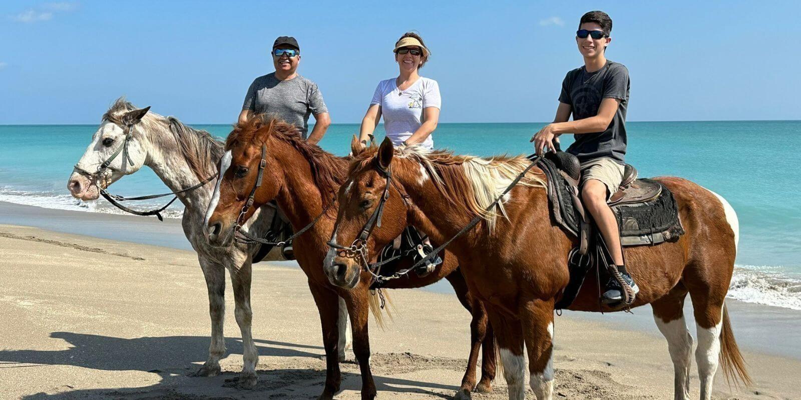 Explora la belleza del mar a lomo de un caballo: Una aventura inolvidable