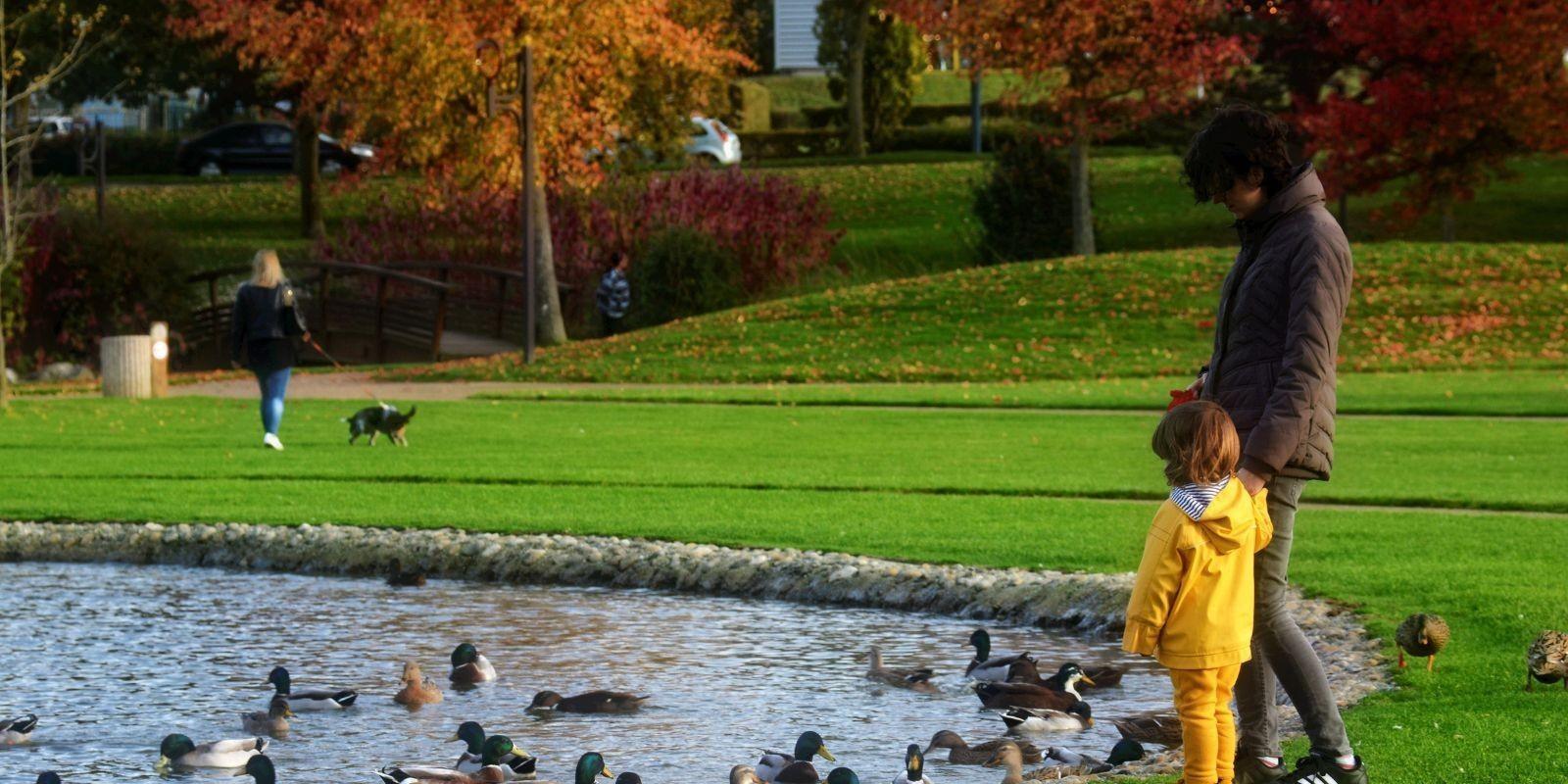 Naturaleza y recreación: varias áreas naturales y parques, campos de golf y clubes de campo para disfrutar de actividades al aire libre en Port Saint Lucie.